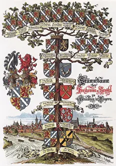 Straubing: Medieval Family Tree