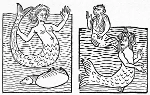 Mermaids: Medieval Mer-Folk