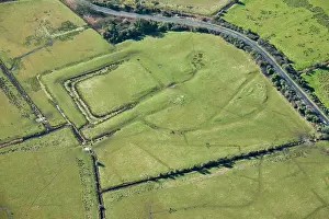 Fishpond: Medieval moated site and associated earthworks