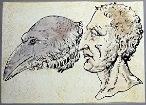 Esoteric: Medieval physiognomy