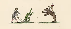 Tumbling: Medieval trained animals