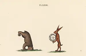 Strutt: Medieval trained animals