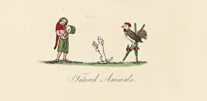 Strutt: Medieval trained animals