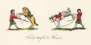 Hooves: Medieval trained horses