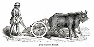 Plowing: Medieval two-wheeled plough