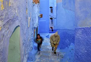 Bluewashed: Medina, Chefchaouen, Morocco