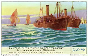 Extent: MEDITERRANEAN STEAMERS
