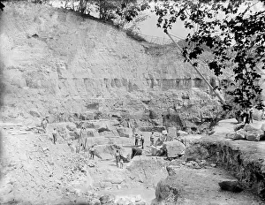 Chalk: Medmenham Chalk Quarry, Medmenham, Wycombe, Buckinghamshire