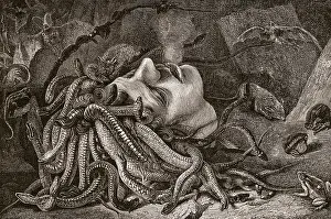 Anyone: Medusa, by Leonardo da Vinci