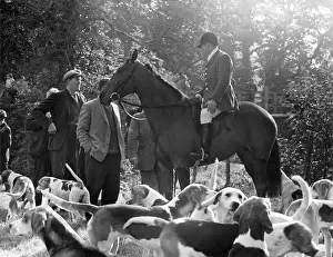 Foxhound: Meet of the Devon and Somerset hounds