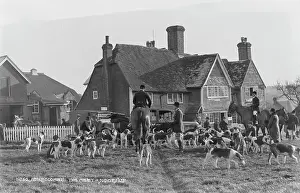 Hounds: The Meet at Sedlescombe