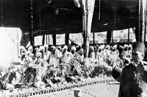 Discuss: Meeting of Aswan fellahs