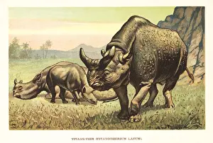 Megacerops: Megacerops, extinct genus of odd-toed ungulates