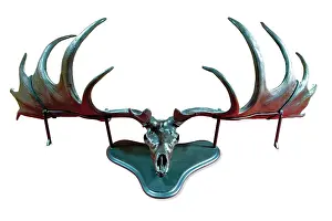 Peat: Megaloceros, Irish elk