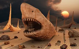 Elasmobranch: Megalodon desert