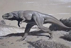 Neave: Megalosaurus