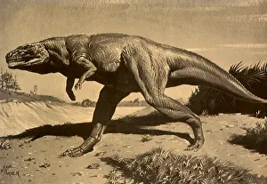 Neave: Megalosaurus