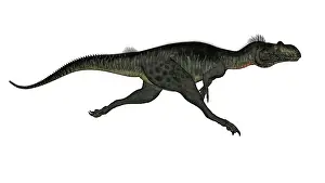 Megalosaurus: Megalosaurus dinosaur running, white background