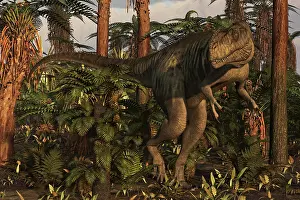 Fern: Megalosaurus dinosaur stalks the forest