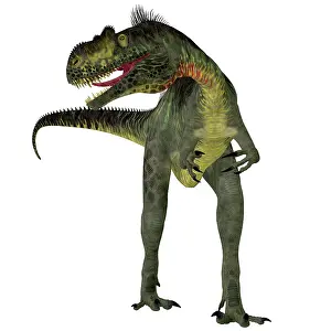 Megalosaurus: Megalosaurus dinosaur, front view