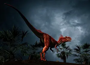 Prowling: Megalosaurus was a large theropod dinosaur of the Middle ?