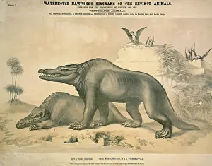 Megalosaurus: Megalosaurus and Pterodactyle