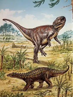 Megalosaurus: Megalosaurus and Scelidosaurus
