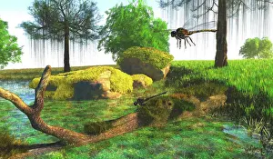 Carboniferous: Meganeura dragonflies hover around a pond during