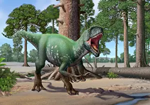 Tyrannosauroid: A Megaraptor lets out a vicious roar