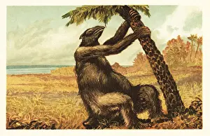 Tiere Der Urwelt: Megatherium americanum pulling on a palm tree