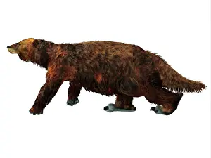 Synapsid: Megatherium ground sloth walking, white background