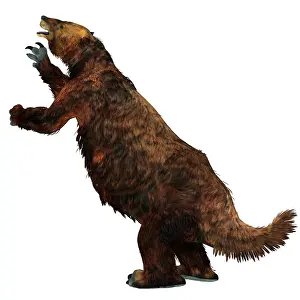 Rearing: Megatherium ground sloth, white background