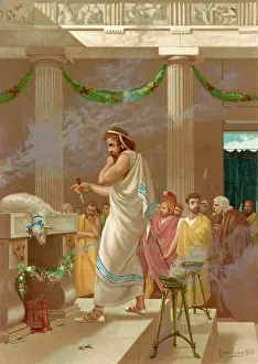 Seer: MEGISTIAS FORESEES