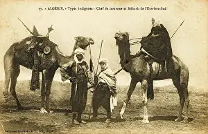 Saharan: Meharis tribe of Southern Algeria