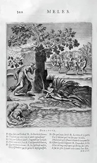 Especially: Mele, a plate from Les Images Ou Tableaux De Platte