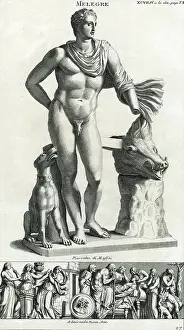 Pelt: MELEAGER