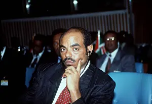 Meles: Meles Zenawi