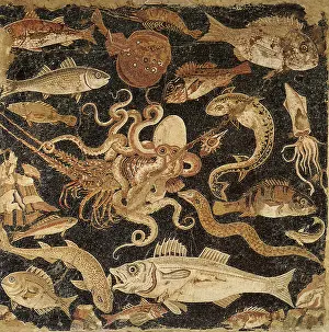 Faun: Mellenistic Fish Mosaic