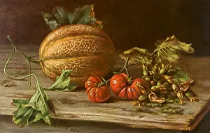 Tomatoes: Melon Still Life