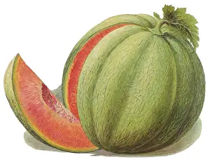 Watermelon: Melon with Slice Removed