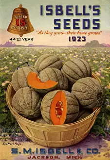 Packets: Melons on Catalogue