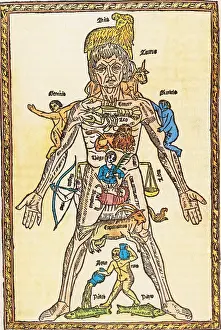 Zodiacal: Melothesic Figure