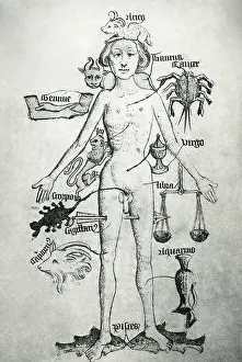 Zodiacal: Melothesic Figure