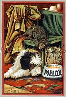 Melox: MELOX DOG FOOD AD