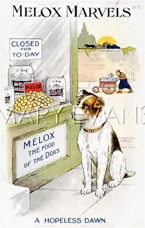 Melox: MELOX MARVELS DOG FOOD