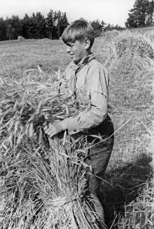 Landdienst: Member of the Deutsche Freischar doing field work, 1932
