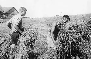 Landdienst: Member of the Deutsche Freischar doing field work, 1932
