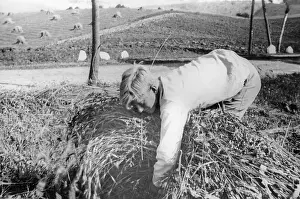 Landdienst: Member of the Deutsche Freischar doing field work, 1932