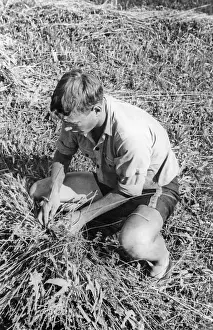 Landdienst: Member of the Deutsche Freischar doing field work, 1932