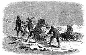 Franklins: Members of the Fox expedition